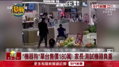 中國遛娃神器？ 童騎「售價180萬」機器狗逛商場網熱議　