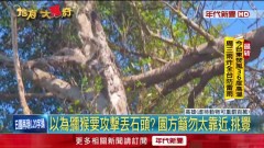 嚇退動物園獼猴最壞身教！ 家長當孩面前「丟石頭」