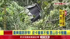 疑會車不慎！ 宜蘭皮卡車「墜數十米深山谷」 駕駛傷重不治