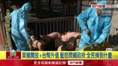 「萊豬進口、台幣飆升」！ 藍批賴政府毀諾　綠委反嗆： 別操弄