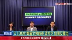 館長、區桂芝入列！ 「在野大聯盟」反罷名單曝　綠酸添罷免柴火