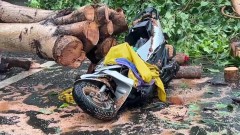 凱米颱風釀首死！ 高雄7旬女騎士遭路樹砸中不治