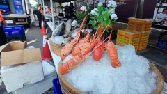 台中超慢跑現「奢華補給站」！龍蝦、烤乳豬、烏魚子美食多