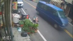 畫面曝！ 9歲男童帶寵物龜「衝了」過馬路遭撞飛