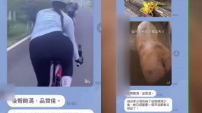轉發女騎士與豬隻類比影片！ 彰化肉品市場總經理挨轟物化女性