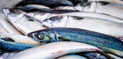 「台大醫科魚」吃了變聰明又抗癌？ 國外4千青少年實測是真的