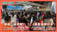 【新聞一點靈】雙鐵「被停駛」 12.6萬客傻眼怒等　東南水泥便宜行事　「砍樹法」釀大禍