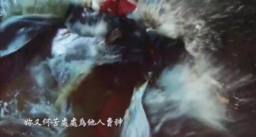 金枝慾孽 / 三角關係
