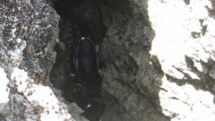 遭竊機車卡珊瑚岩洞　竊賊丟車大費周章