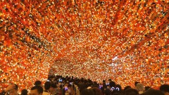 【承璇主播】最喜歡的聖誕季節要到了
