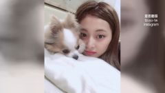 紀念「周子瑜愛犬」！ 周媽媽打造寵物友善咖啡廳