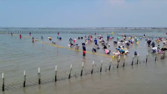 悶壞！ 七股海鮮節湧遊客　黃偉哲喊話中央「快解封」