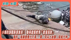 【新聞一點靈】小海豹誤闖鼻頭漁港！ 動保處援救竟「倉皇逃跑」 海豹、海獅傻傻分不清？ 靠「耳朵＋後腿」就能分辨
