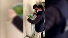稱餵狗「吃大麻」變安靜... 主人異想天開竟「栽」了