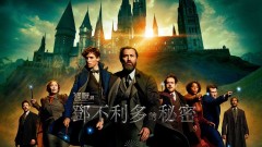 超完整懶人包！ 《怪獸與鄧不利多的秘密》看前必知、5大精彩看點一次看