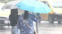 小編報氣象／颱風芙蓉生成！ 明起防雨彈　未來一周天氣出爐