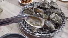 【全球聚光燈】搭觀光船遊東石港　獨擁蚵棚養殖風光