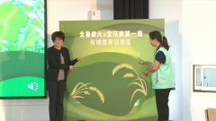 全國最大！ 台東「有機農業促進區」正式成立